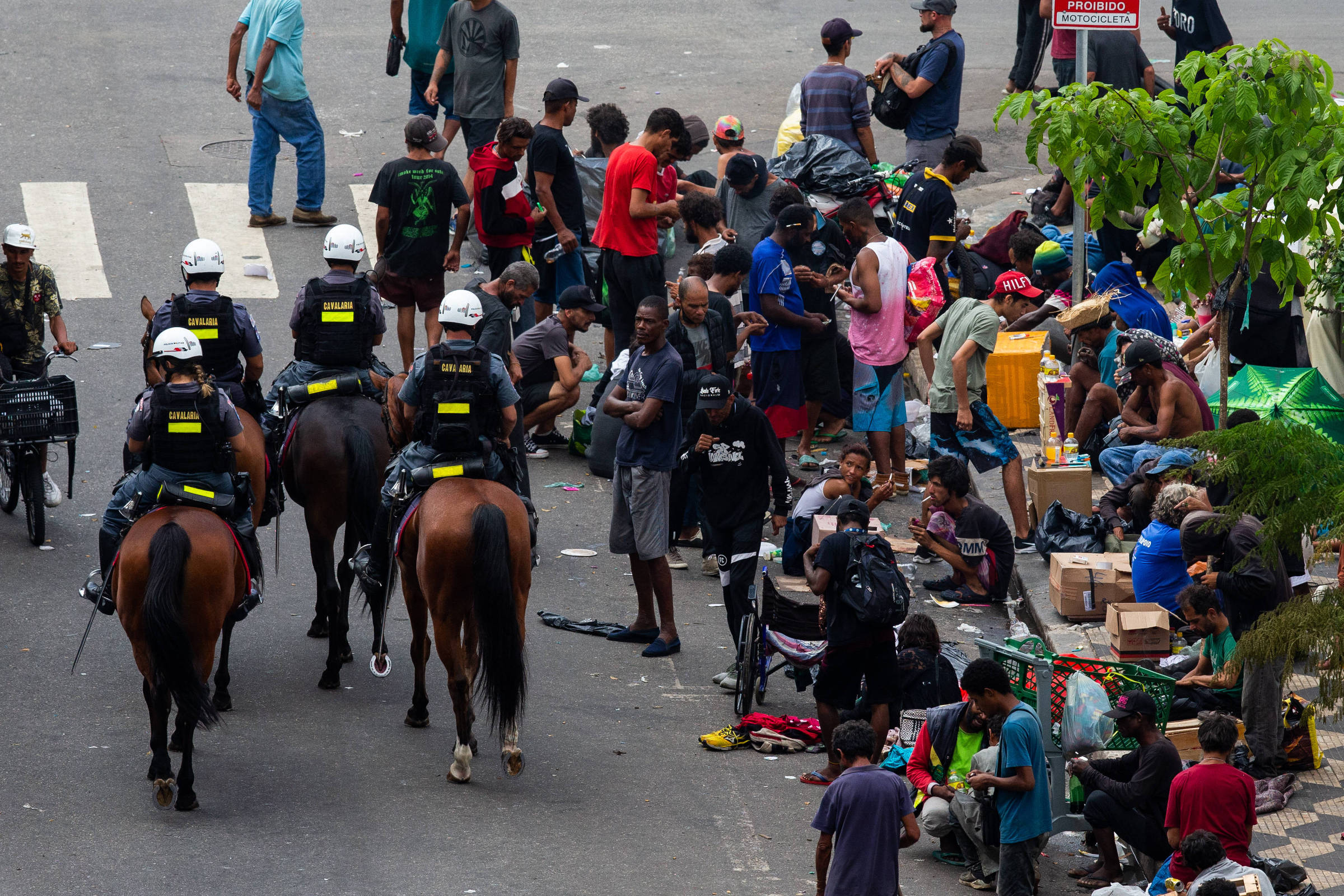 Conheça um pouco mais sobre a Cavalaria da Polícia Militar - SSP