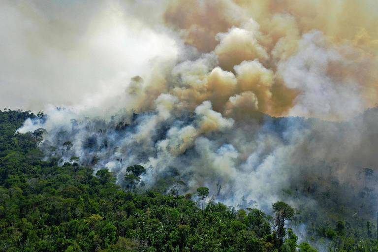 Projeto de preservação da Amazônia cumpriu 1,85% da meta para 2022, diz CGU