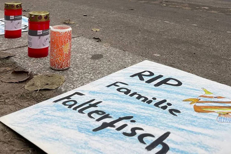 Ativistas fazem vigília por 1.500 peixes mortos em explosão de aquário em Berlim