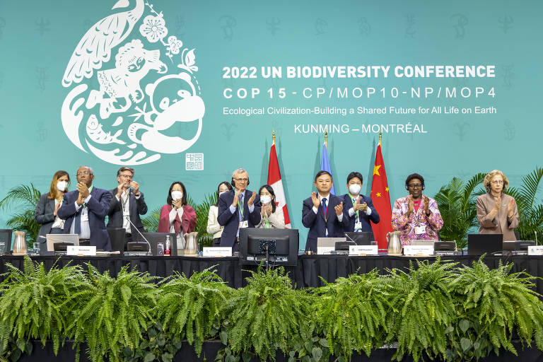 Brasil presidirá grupo dos países megadiversos para negociar biodiversidade na ONU