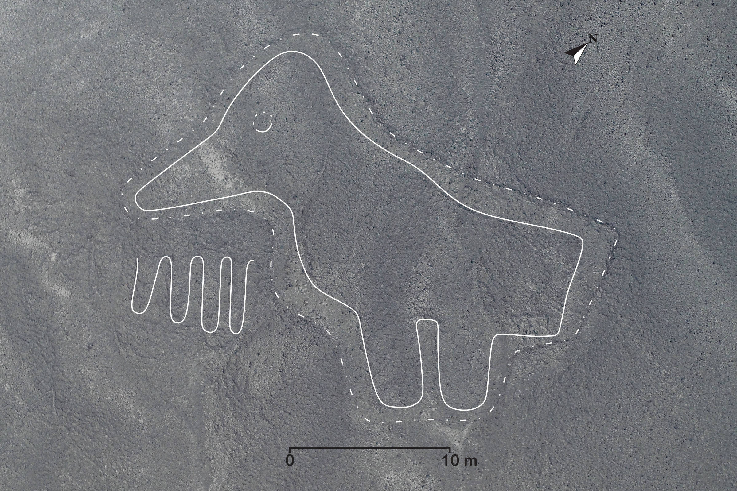 研究者は、ペルーのナスカで 168 の地上絵を特定します – 12/19/2022 – 科学