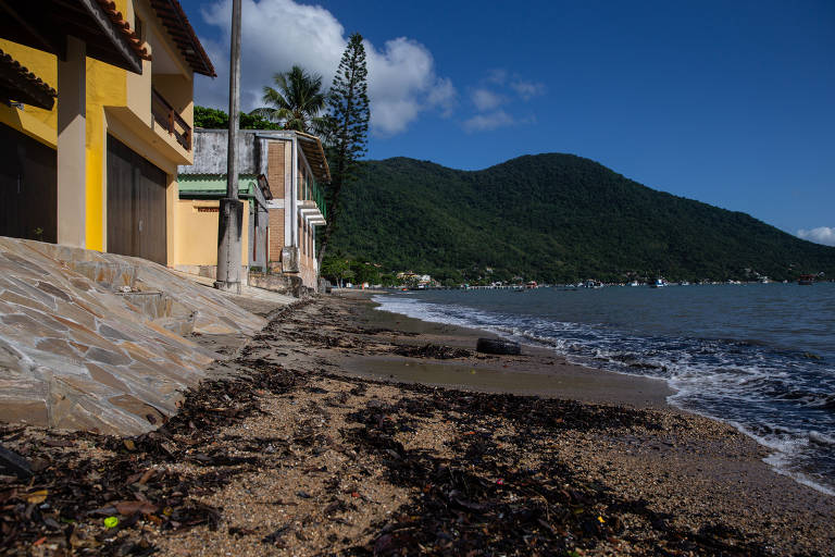 Praias limpas aumentam no litoral norte de SP, e Baixada Santista