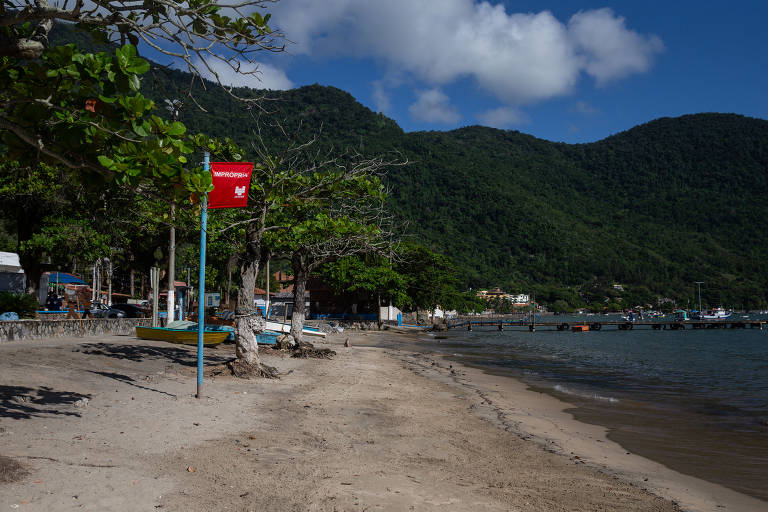 Praias limpas aumentam no litoral norte de SP, e Baixada Santista