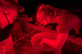 Research volunteers collect coral spawn from Great Barrier Reef coral, at the Australian Institute Of Marine Science