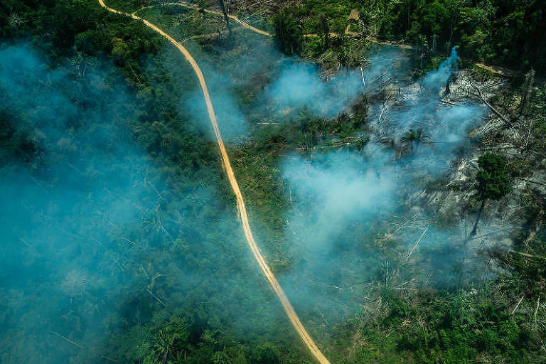 Imagens aéreas da terra indígena Ituna-Itatá, no Pará, em 2019
