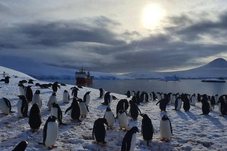 Como é passar o Natal na Antártida