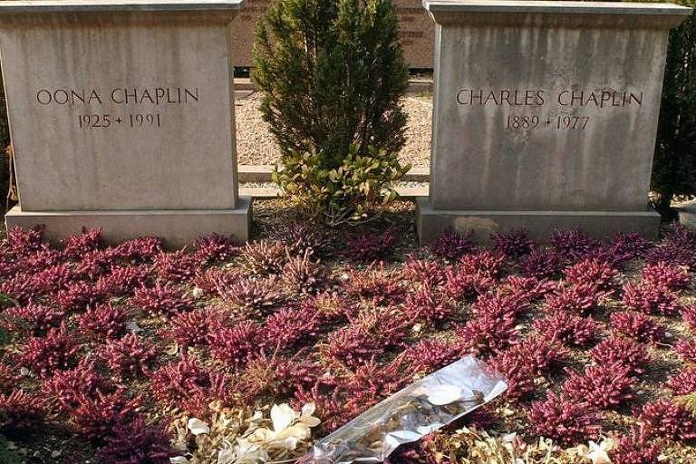 Dois túmulos com flores roxas 