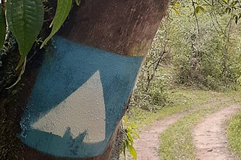 Marco de sinalização na trilha da Serra da Garganta, em Anitápolis (SC)