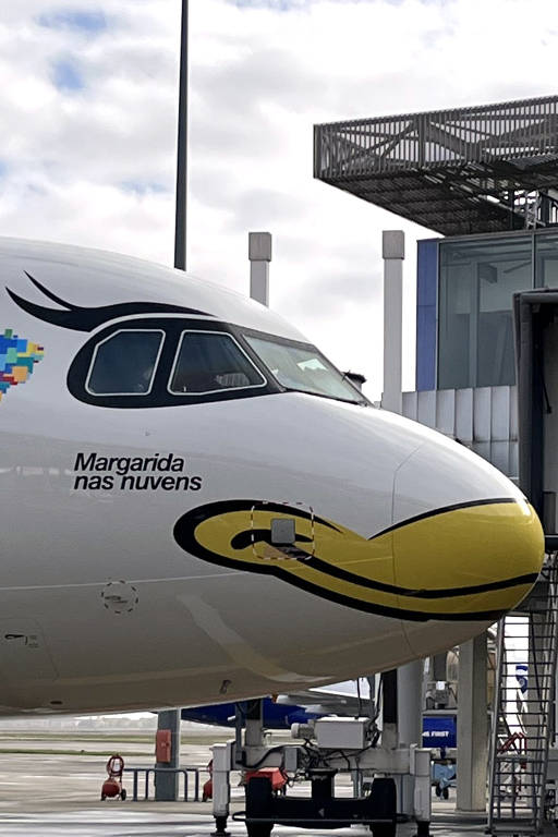 Disney no Brasil: avião da Azul com Margarida completa a frota