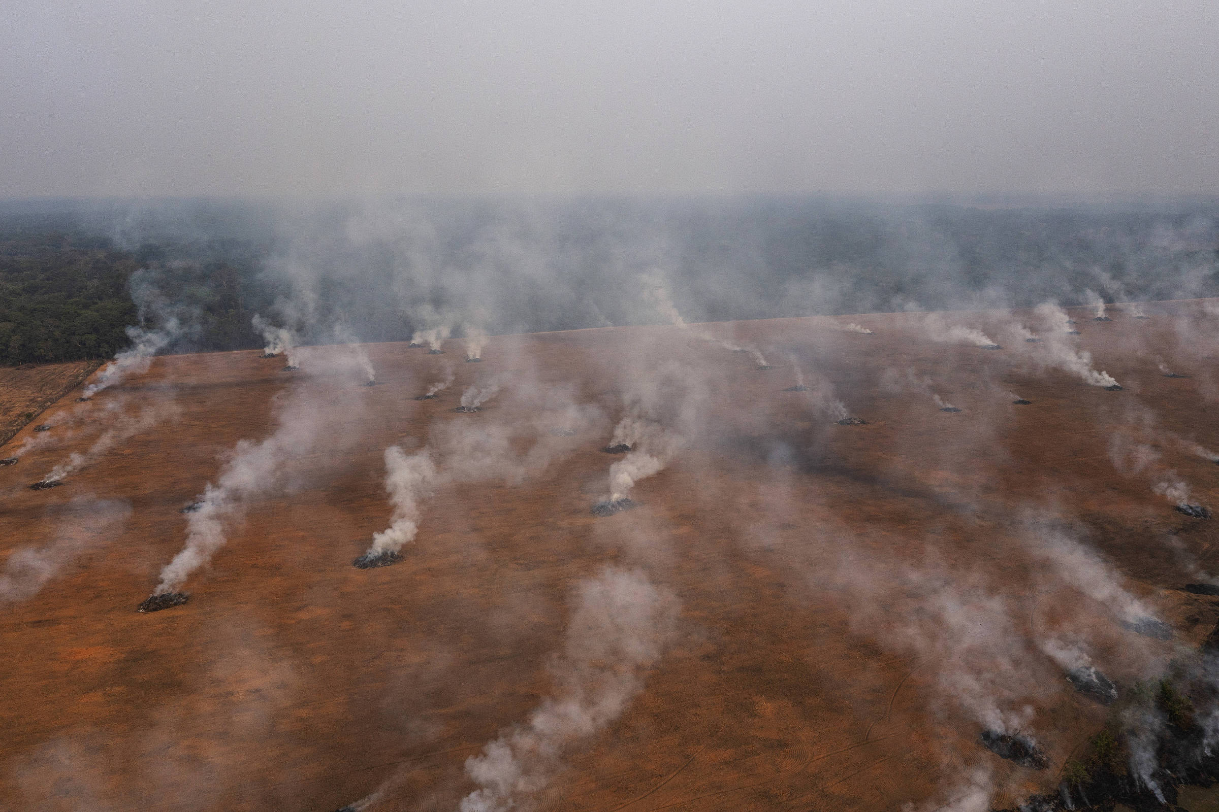 1% das propriedades rurais causaram 83% do desmatamento da Amazônia