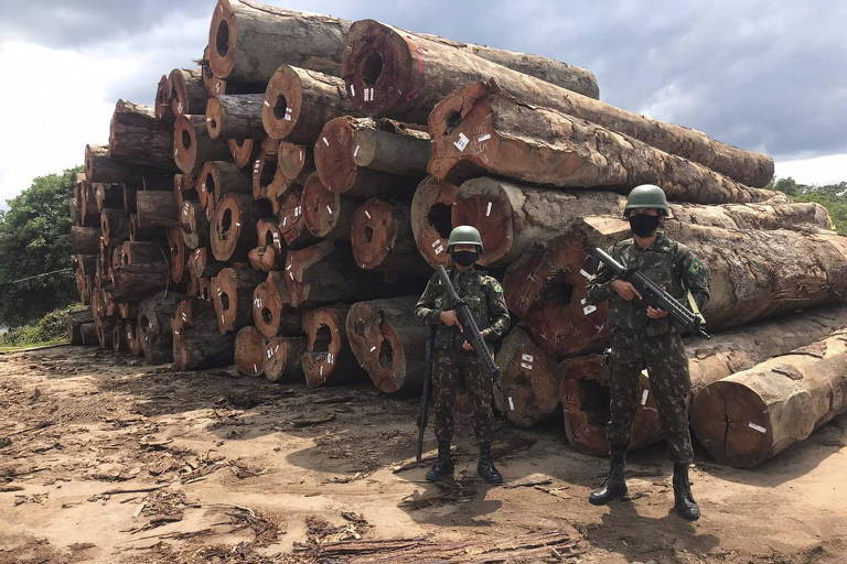 Operação das Forças Armadas apreende madeira ilegal no Pará