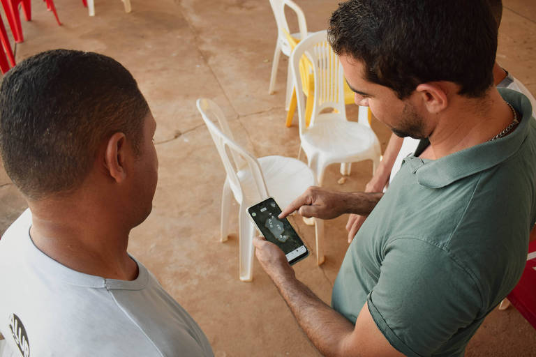 Dois homens olham para a tela de um celular