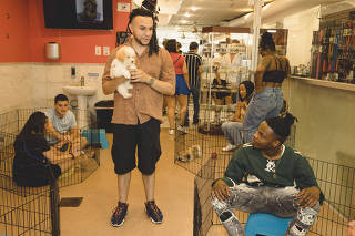 Emilio Ortiz, manager at Citipups, a pet store in Chelsea, New York, on July 16, 2022. (Sara Naomi Lewkowicz/The New York Times)