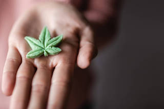 Cbd marijuana - Woman holding edible cannabis leaf for anxiety treatment - Alternative medicine