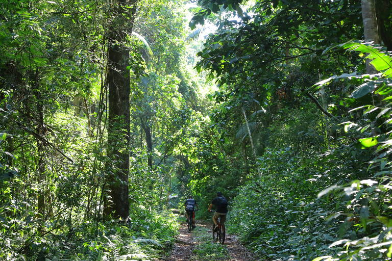 ciclistas na trilha do Poço Preto, que será reativada no PN Iguaçu