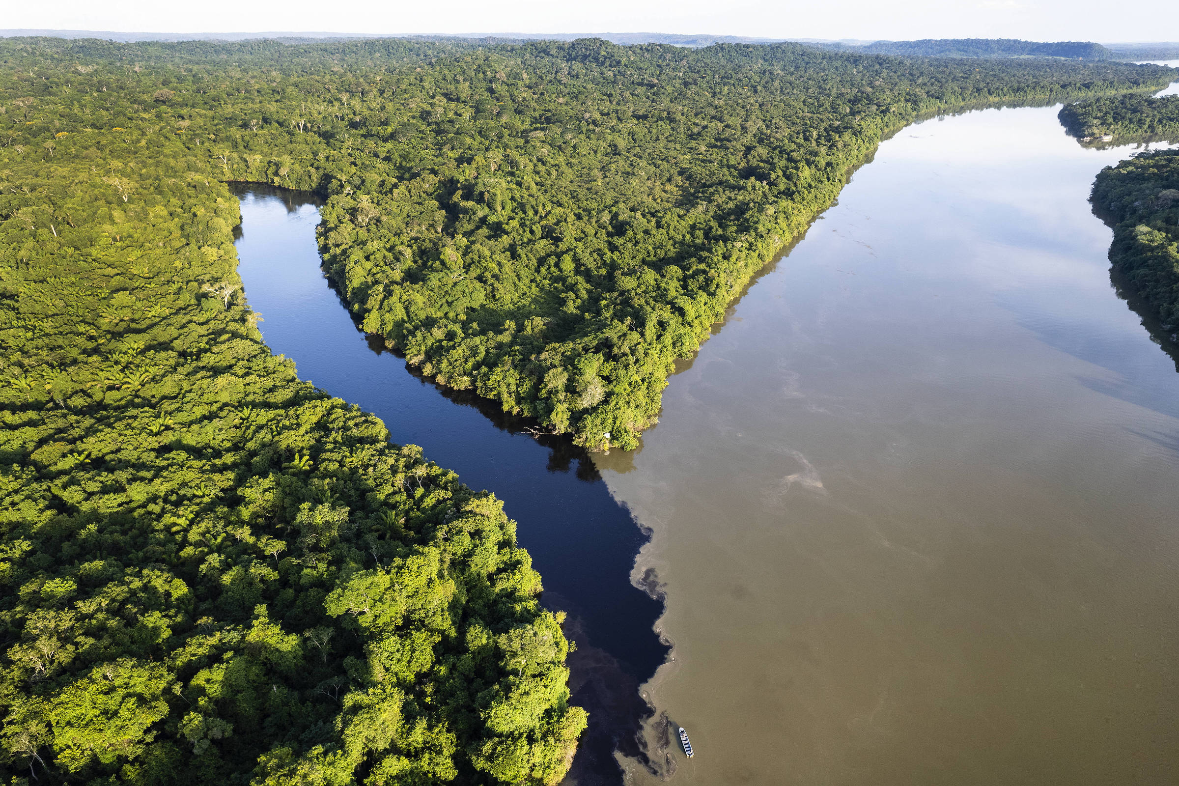 Entenda o que são e como funcionam os créditos de carbono