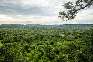 Especial Turismo: Santuario Amazonico.  Vista da  floresta   preservada  em area de serra  do Cristalino Lodge  (RPPN .Reserva Particular do Patrimonio Nacional na amazonia matogrossense quase divisa com Estado do Para)