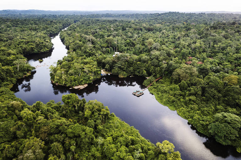 Visão aérea de um rio no meio da floresta amazônica