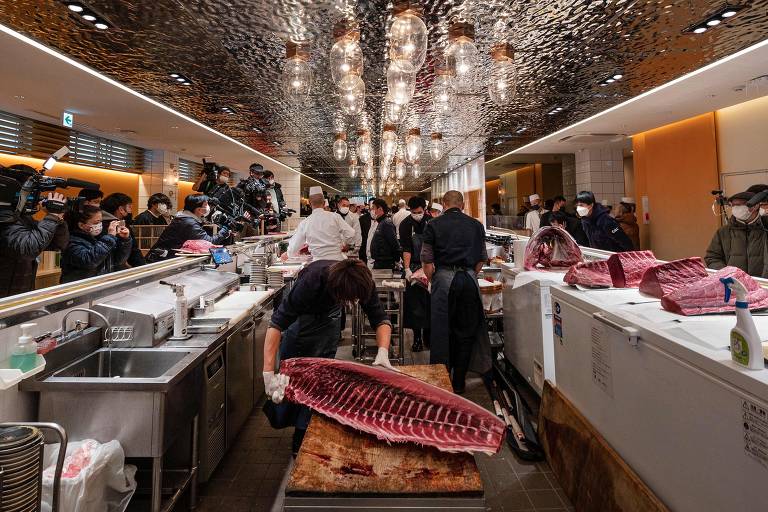 Veja fotos do atum de R$ 1 milhão leiloado no Japão