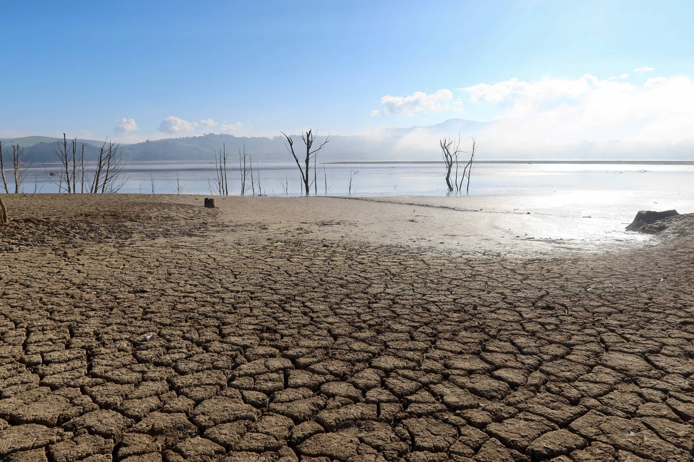 Janela de oportunidade para salvar a Amazônia está se fechando