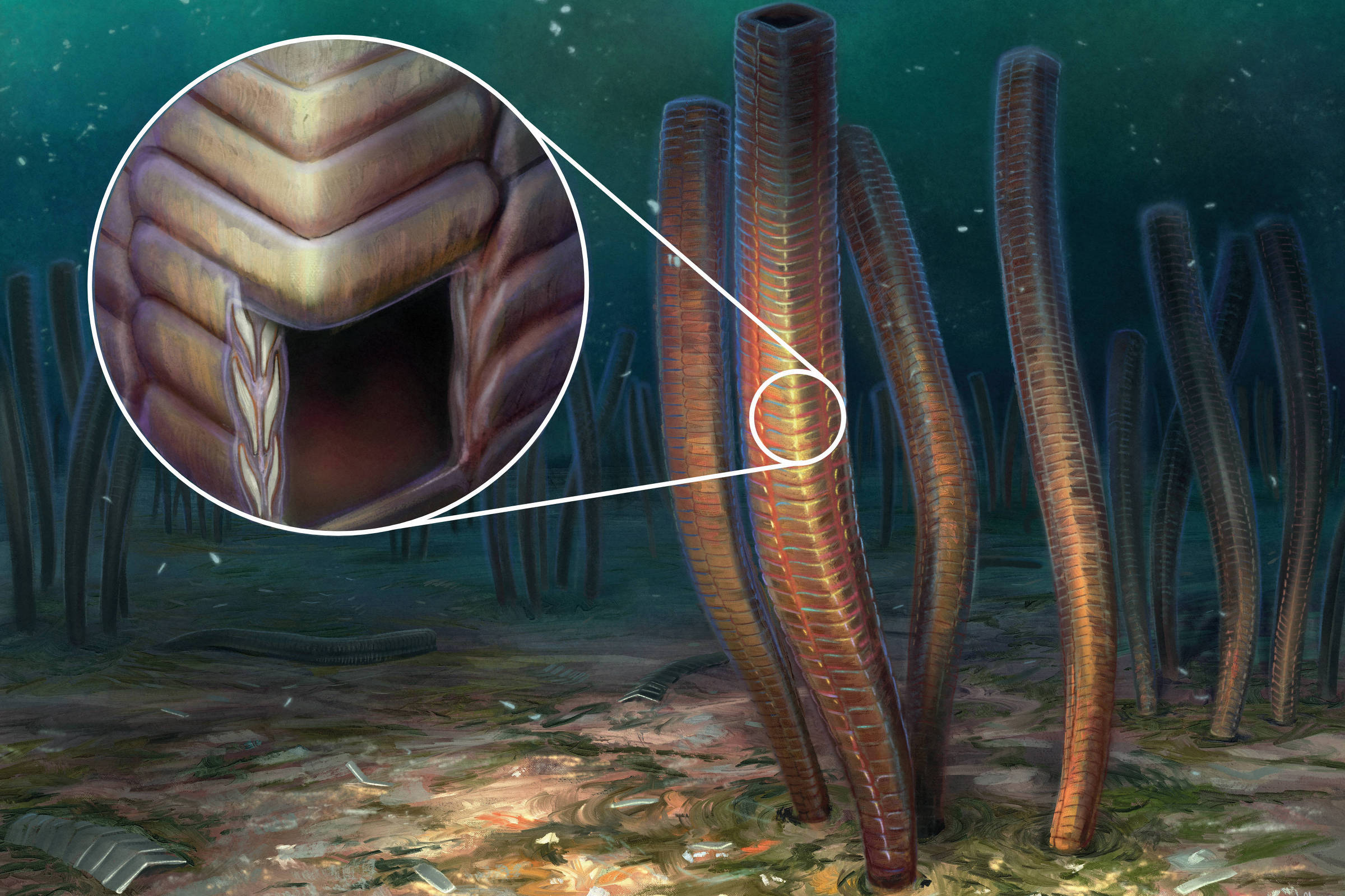 Articulated Skeletal Fossil Helps Understand Evolution – 01/14/2023 – Science