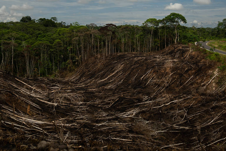 Área de floresta amazônica desmatada na região do Yasuní, no Equador 
