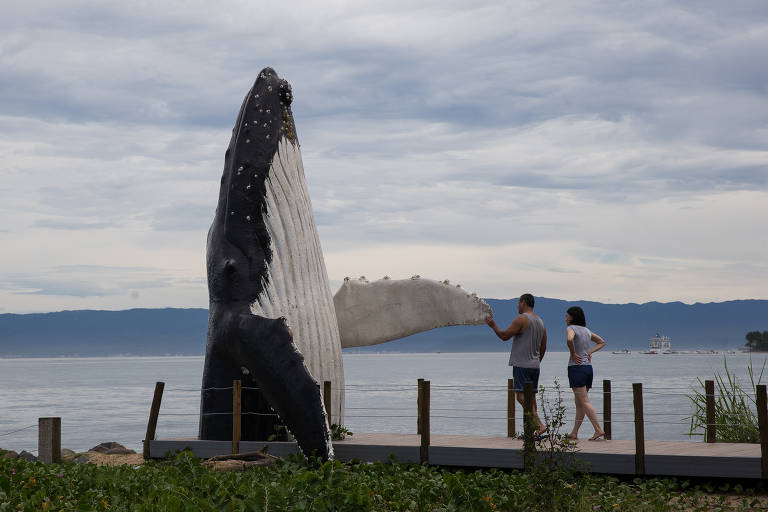 Pessoas observam réplica de baleia Jubarte na praia do Perequê, em Ilhabela