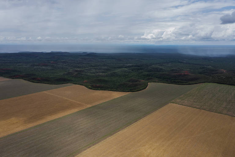 Vista aérea mostra plantação de soja em região de cerrado
