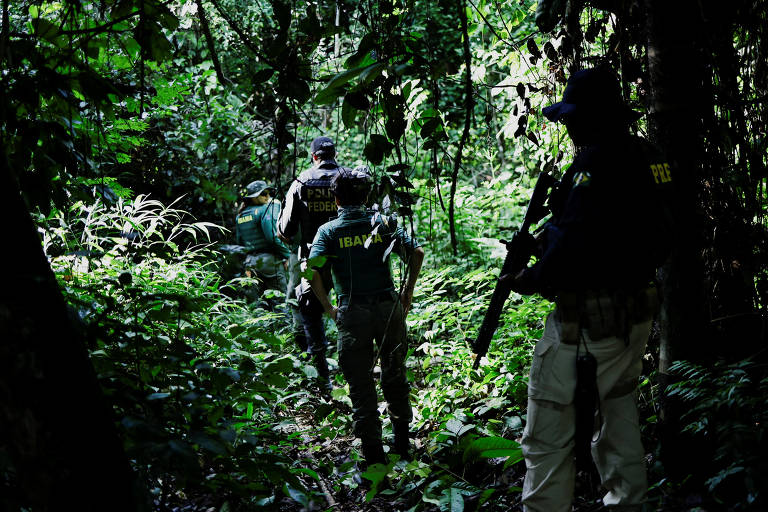 Ibama faz operação contra desmatamento no Pará
