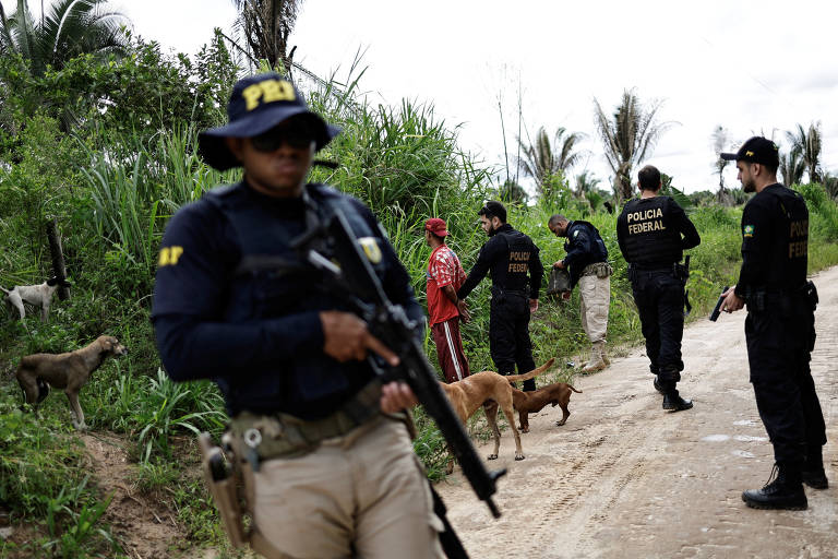Além de Uruará (PA), segundo o Ibama, também foram realizadas nesta semana ações em localidades no Acre e em Roraima