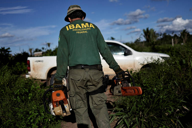 Motosseras também foram apreendidas durante a operação
