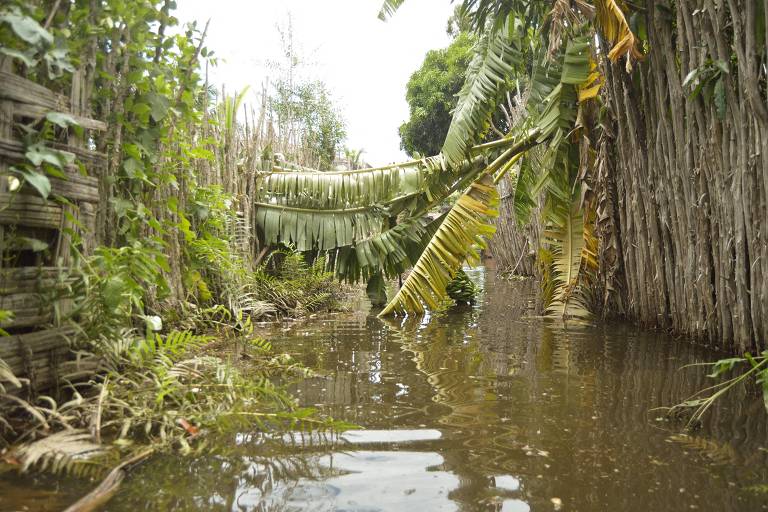 Visão geral de enchente em Madagascar; veja imagens de hoje