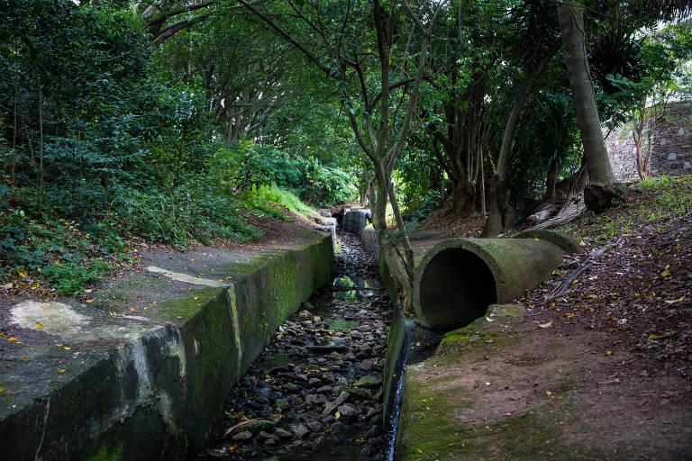 Água cai em um canal de concreto saindo de manilha, por onde passa um riacho. Canal é cercado por árvores. 