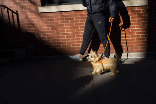 Bethany Lane, founder of Whistle & Wag, a dog walking service, walks a dog in Manhattan, Jan. 16, 2023. (Calla Kessler/The New York Times)
