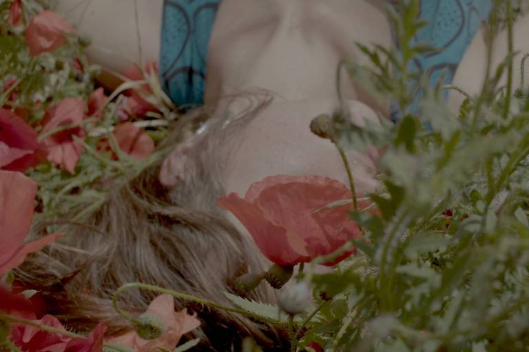 Mulher branca e loira deitada em um campo de flores vermelhas