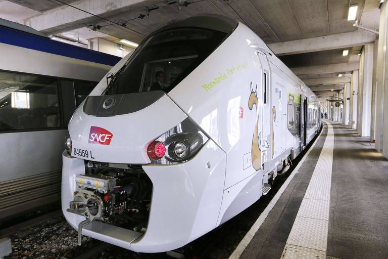 Atropelamento de gato por trem em Paris gera onda de revolta na França