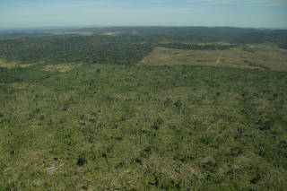 Deforestation of 1,700 Hectares in the Jamanxim APA in the Amazon in Brazil
Desmatamento de 1.700 Hectares na APA Jamanxim na Amazônia
