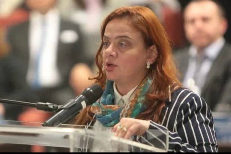 A historiadora Adriana Dias durante audiência pública sobre o aborto no STF, em 2018