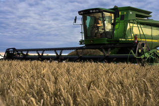 Argentine Wheat Group Forecasts 9 Million Ton Crop on Weather