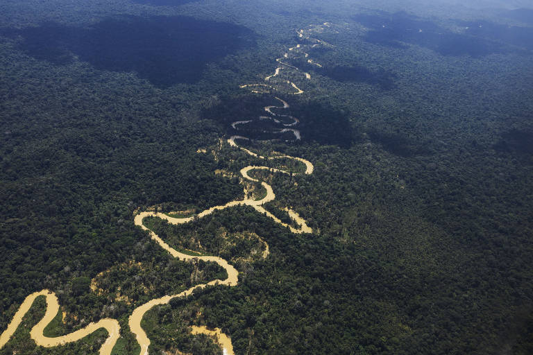 Imagem aérea da mata fechada da terra yanomami, cortada por um rio de águas barrentas, o que indica a presença de garimpo na região