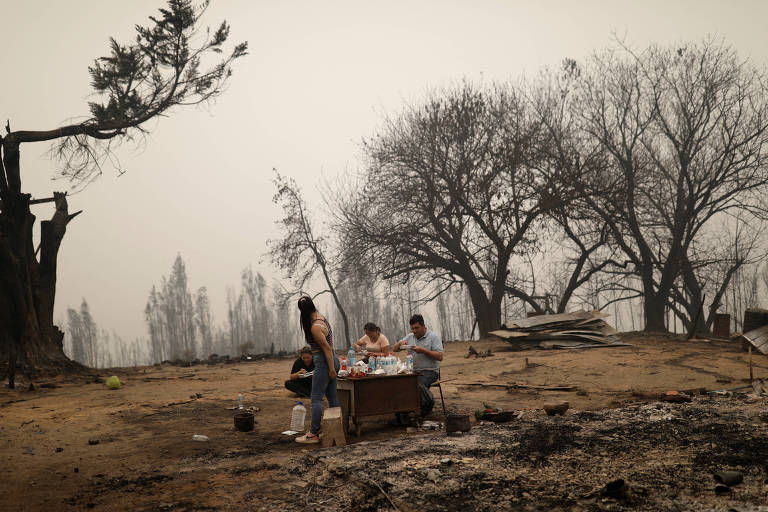 Incêndios fazem Chile decretar estado de catástrofe