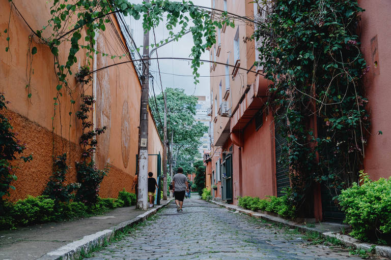 Uma rua estreita e pavimentada, cercada por paredes de cores laranja e verde. À esquerda e à direita, há plantas e trepadeiras que cobrem parte das paredes. No fundo, pode-se ver uma pessoa caminhando em direção à câmera, enquanto o céu está nublado.