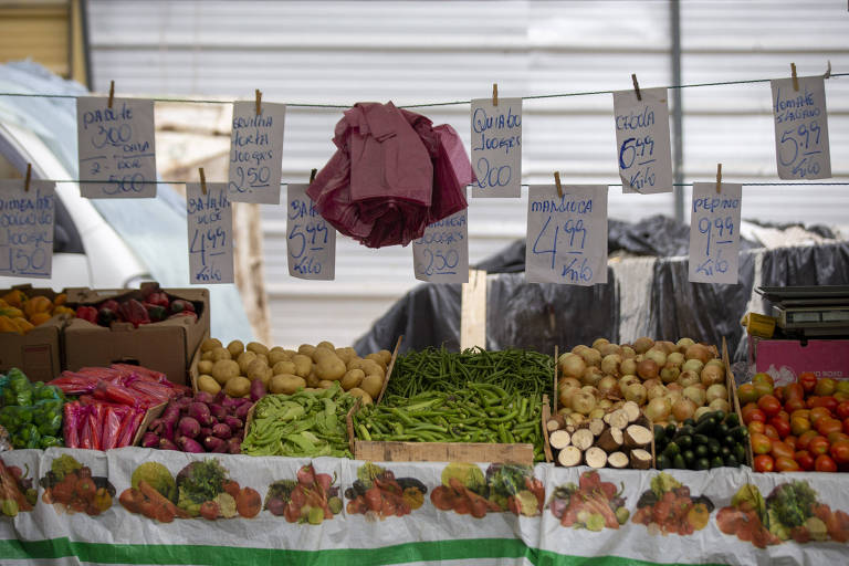 Barraca de feira de verduras e legumes como batata, mandioca, tomate e rabanete 