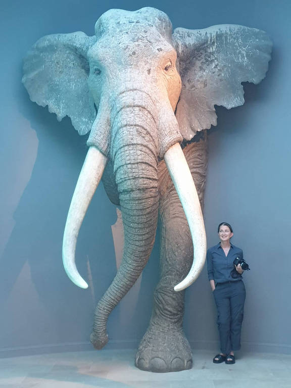 Pesquisadora Sabine Gaudzinski-Windheuser com uma reconstrução do maior animal terrestre da Era do Gelo: o elefante-de-presas-retas