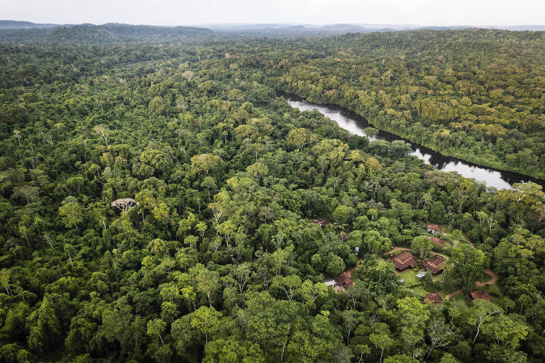 Vista aérea de região preservada da floresta amazônica em que a paisagem repleta de árvores é cortada por um rio 