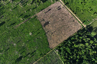 FILE PHOTO: Brazil battles deforestation in Amazon rainforest