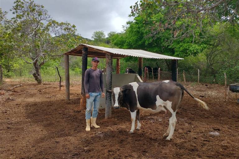 Ricardo Tavares conta com projeto Sertão Agroecológico e Solidário para manter criação em comunidade da Paraíba