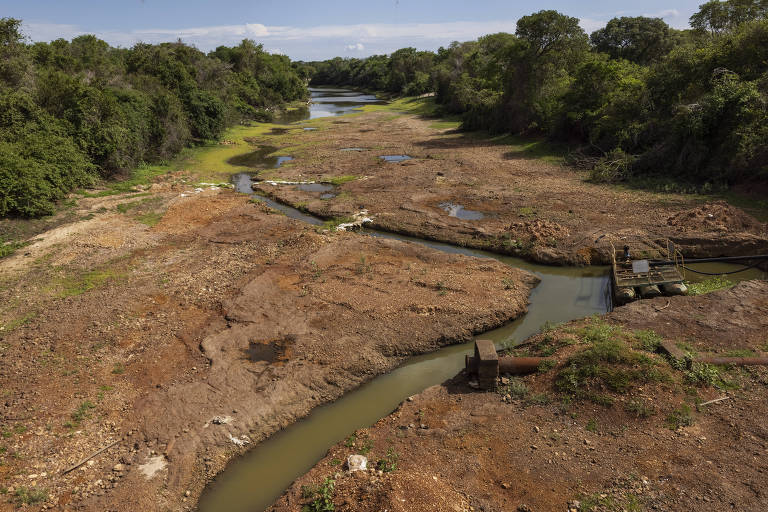 Brasil ganhou superfície d'água em 2022, mas tendência é de seca