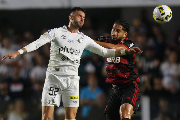 Lance da partida entre Santos e Flamengo