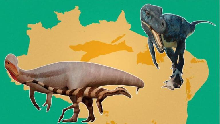 Arte com alguns dinossauros encontrados no Brasil